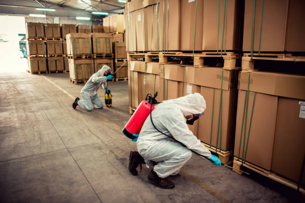 Best Commercial Pest Control Services  in Drexel Heights, AZ