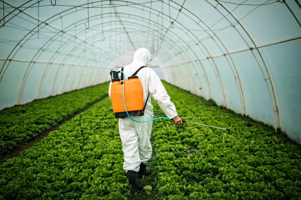 Best Affordable Pest Control Services  in Drexel Heights, AZ